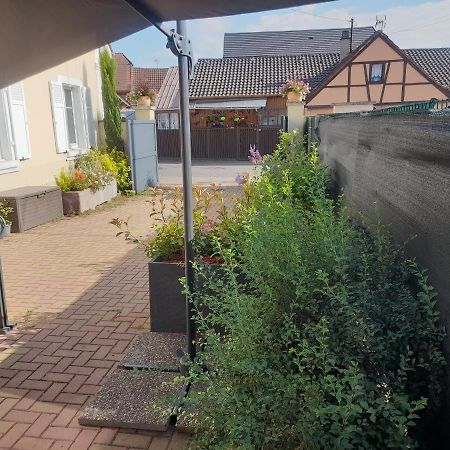 Gite David Jacky Fortschwihr Bagian luar foto